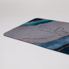diatom 2
